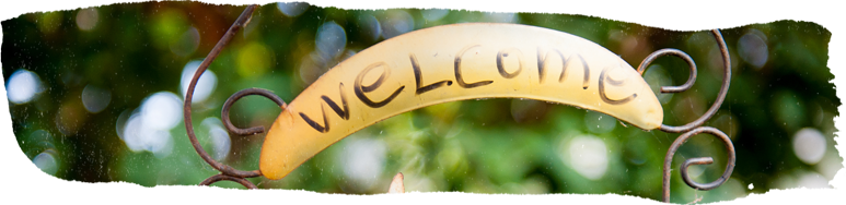 During your stay at Evelina London