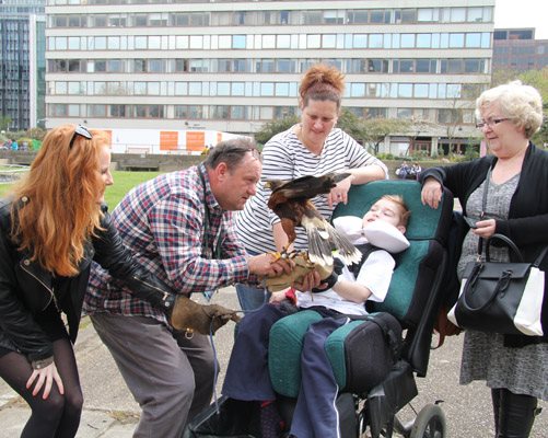 Hawk visits Evelina London