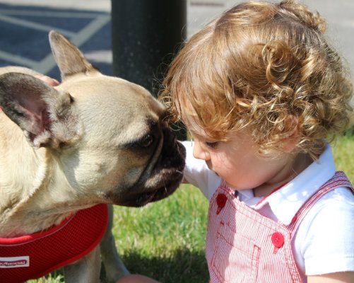 Evelina London patient, Mattia, with Budu the French bulldog