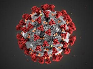 coronavirus.jpg