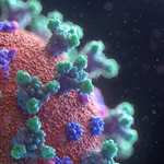 Close up image of the coronavirus