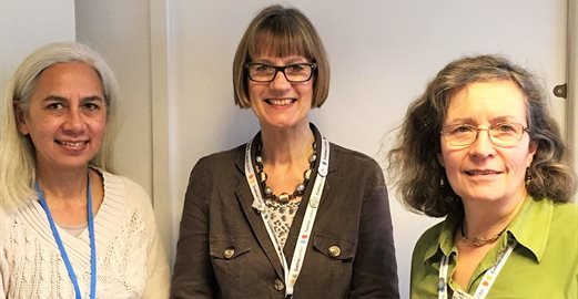 Counselling team