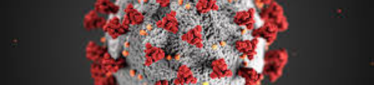 A close up of the COVID-19 virus